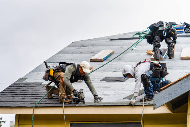 Professional Gutter Installation technician working in West Concord, MN